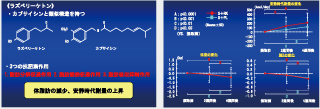 Data about research relating to anti-obesity functions on humans from the combined use of NARLSONIC and raspberry ketone