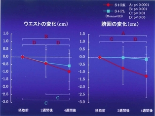 研究データの一部