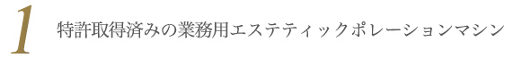 特許取得済みの業務用エレクトロポレーションマシン