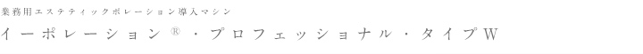 イーポレーション・プロフェッショナル・タイプW