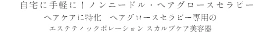 自宅に手軽に！ノンニードル・ヘアグロースセラピー